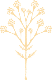 Botanical icon for the Argos in Cappadocia story