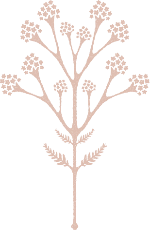 Decorative botanical icon for Nahita Lounge, Argos in Cappadocia