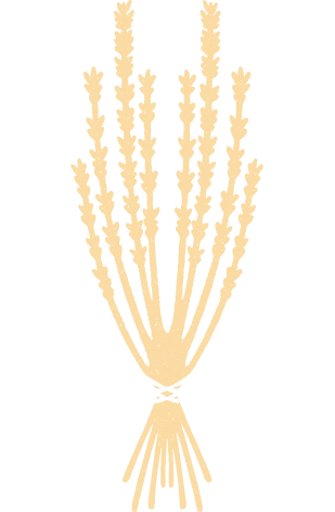Decorative botanical icon for the Argos in Cappadocia story
